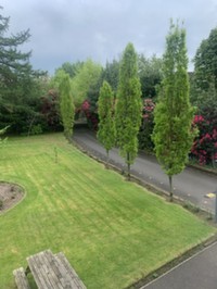 Stanwix, Part of Old Croft, The Annex, 