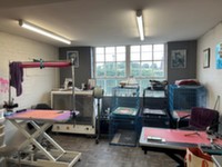 Tyne Street, B & B Bathtub, Dog Grooming Business