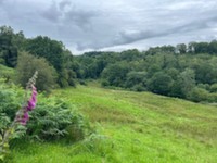 Hawkshead, Far Sawrey, Land at Cunsey