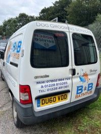 Tyne Street, B & B Bathtub, Dog Grooming Business