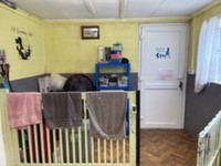 Tyne Street, B & B Bathtub, Dog Grooming Business