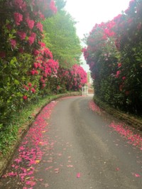 Stanwix, Part of Old Croft, The Annex, 